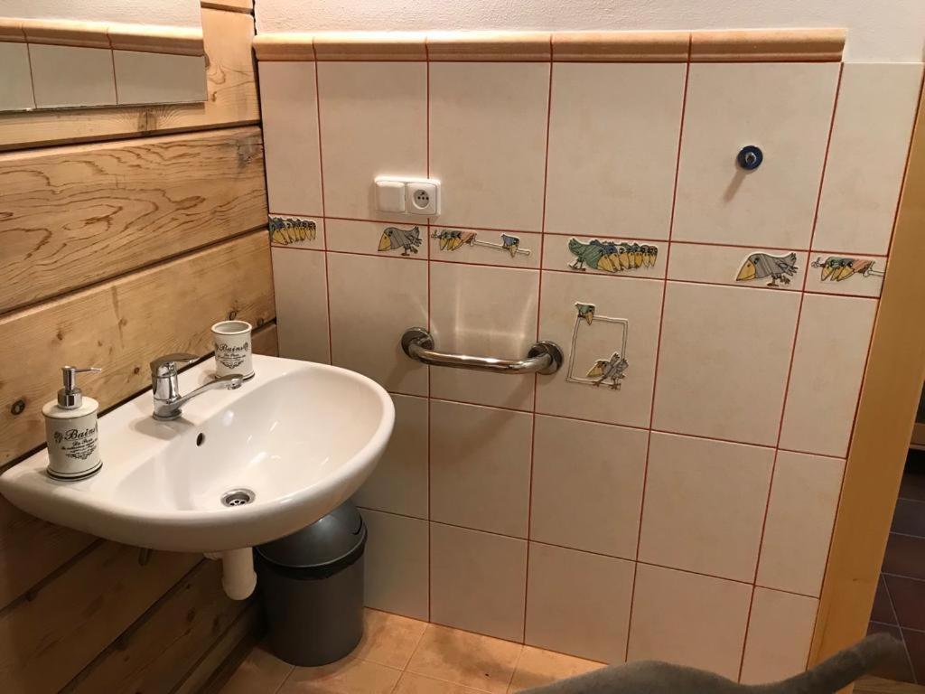 Samota U Hadince Hotel Bartosovice v Orlickych Horach Kültér fotó