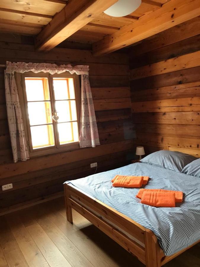 Samota U Hadince Hotel Bartosovice v Orlickych Horach Kültér fotó