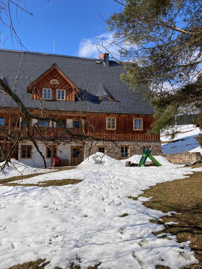 Samota U Hadince Hotel Bartosovice v Orlickych Horach Kültér fotó