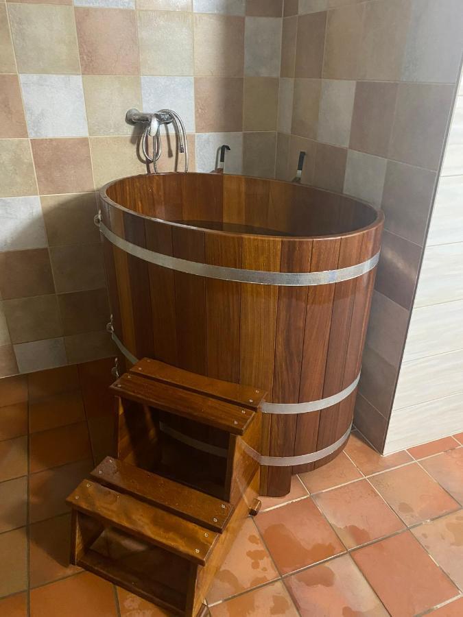 Samota U Hadince Hotel Bartosovice v Orlickych Horach Kültér fotó